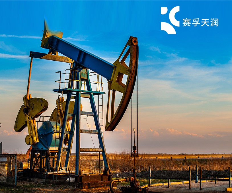 無(wú)錫市賽孚石油制品有限公司品牌網(wǎng)站制作開(kāi)發(fā)建設(shè)案例