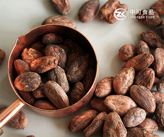 丹陽(yáng)市中可食品有限公司可可粉產(chǎn)品阿拉伯語(yǔ)外貿(mào)網(wǎng)站建設(shè)制作案例
